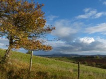 Brown Clee view