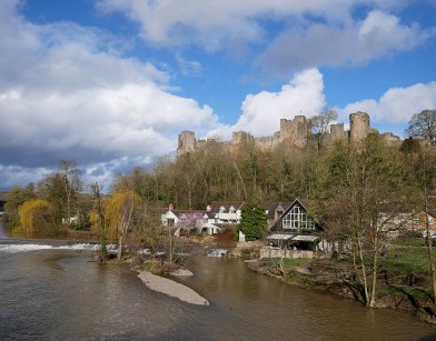 Castle and Teme
