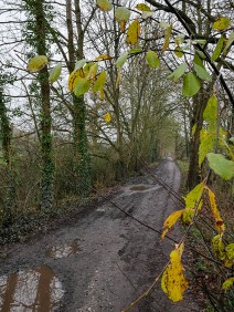 Along the old railway track