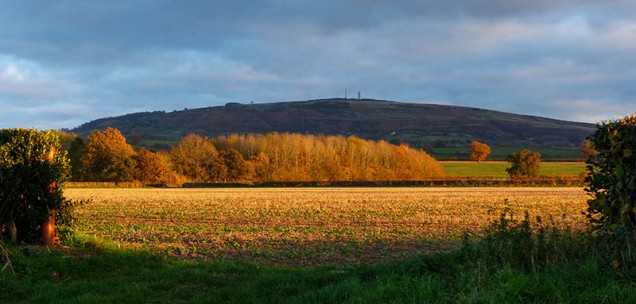 Golden view of Brown Clee