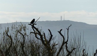 Keeping an eye on the Clee