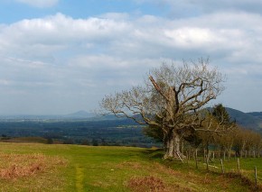 View to the north (and the Wrekin)