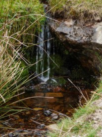 Mini-waterfall in Jonathan's Hollow