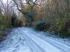 Frost in Lodge Lane